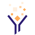 Collecting + Analyzing Data